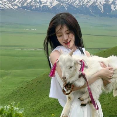 博尼法斯修女探案集第三季